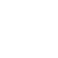 Eclectic Artists